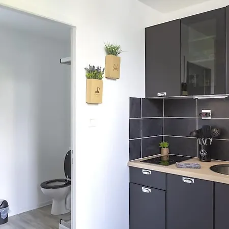 L'authentique *studio *parking Prive* *wifi*calme * Lourdes